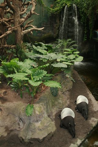 [IMG_0402.JPG]
