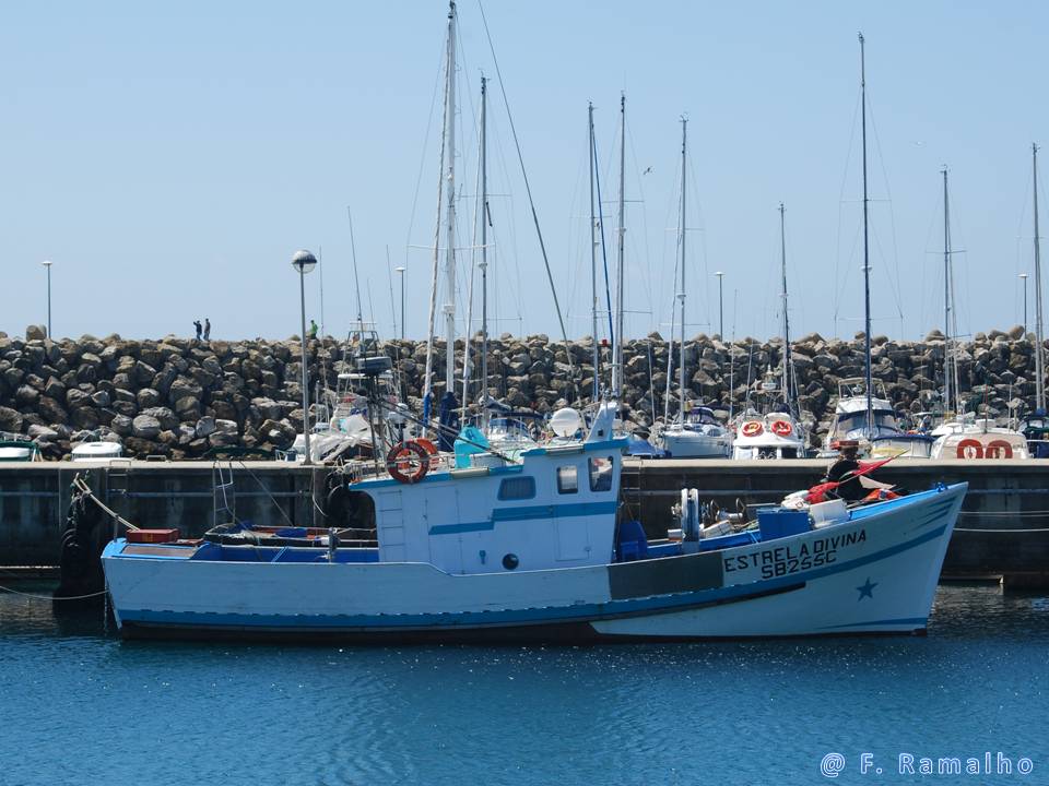 [ESTRELA+DIVINA_BLOG.jpg]