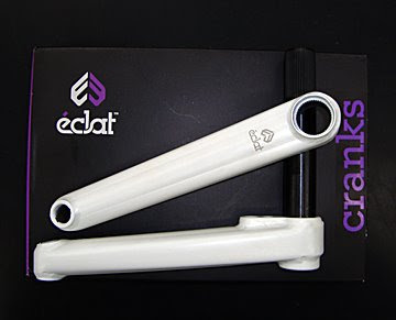 eclat tibias
