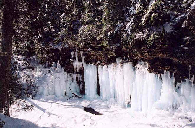 30 foot icicles