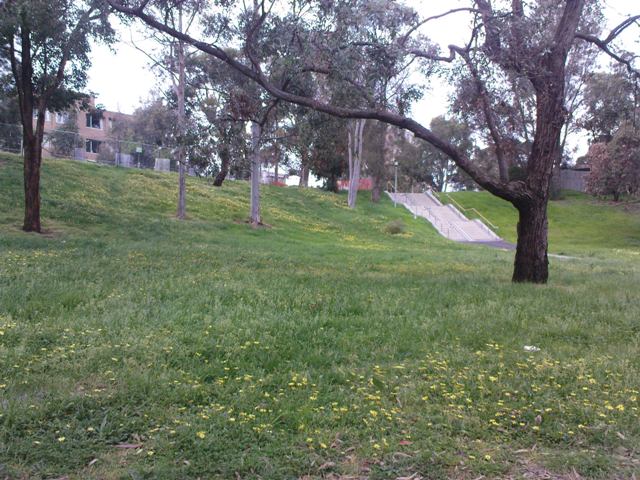 [DSC01121.JPG]