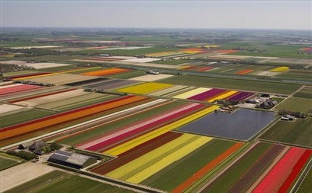 [Fields.jpg]