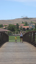 A little stroll on the course