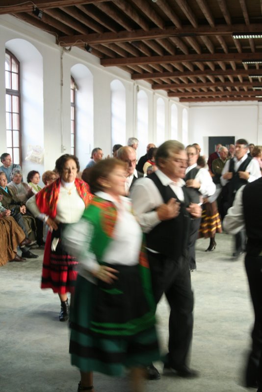 [IMG_3101-1.JPG]