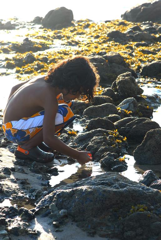 [DSC_1173+(Large).JPG]