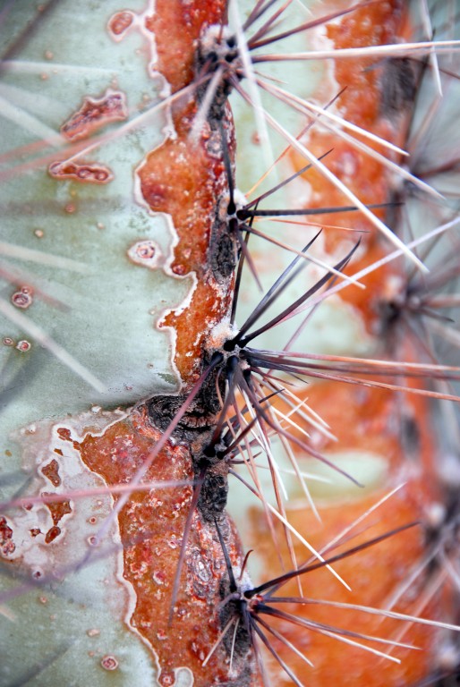 [PAS_4459+[Blog].JPG]