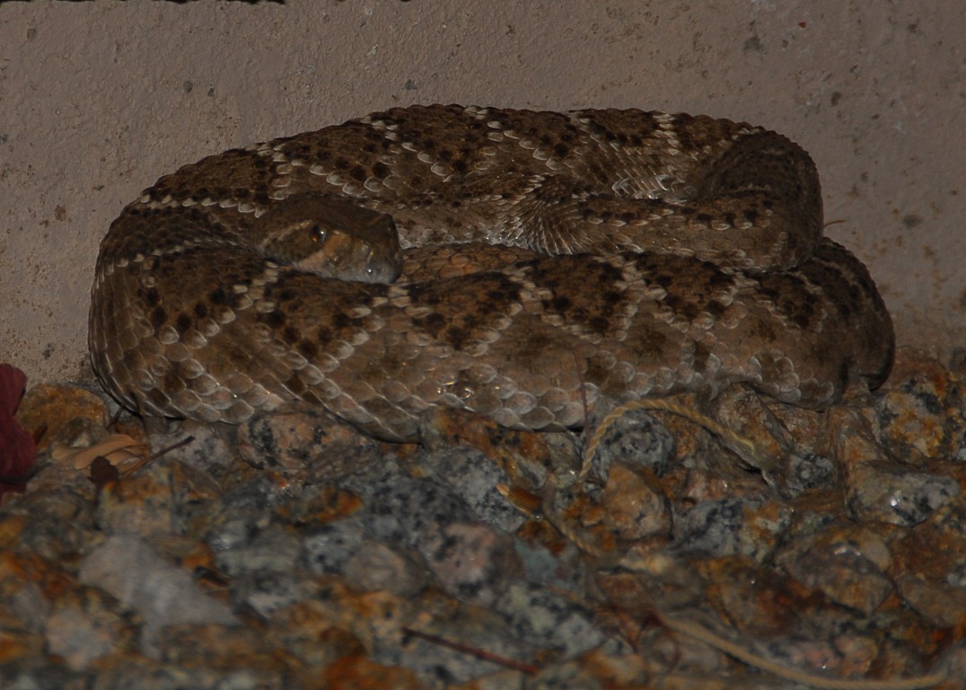 [PAS_5953+[Blog].JPG]