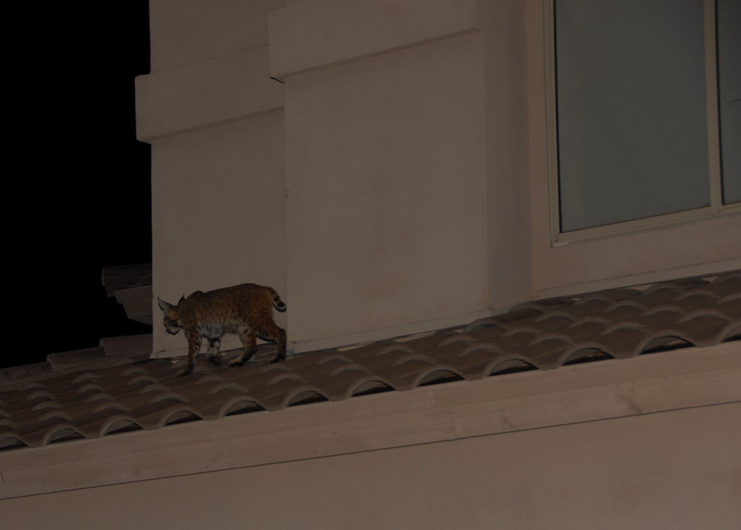 [PAS_5976+[Blog].JPG]