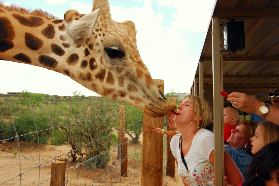 [PAS_7340+[Blog].JPG]