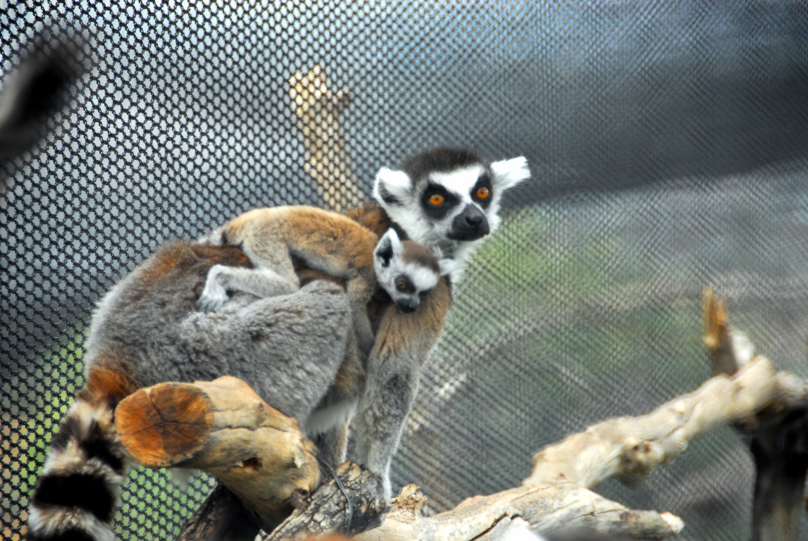 [PAS_7168+[Blog].JPG]