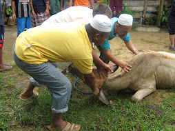 Simboliknya sebuah pengorbanan