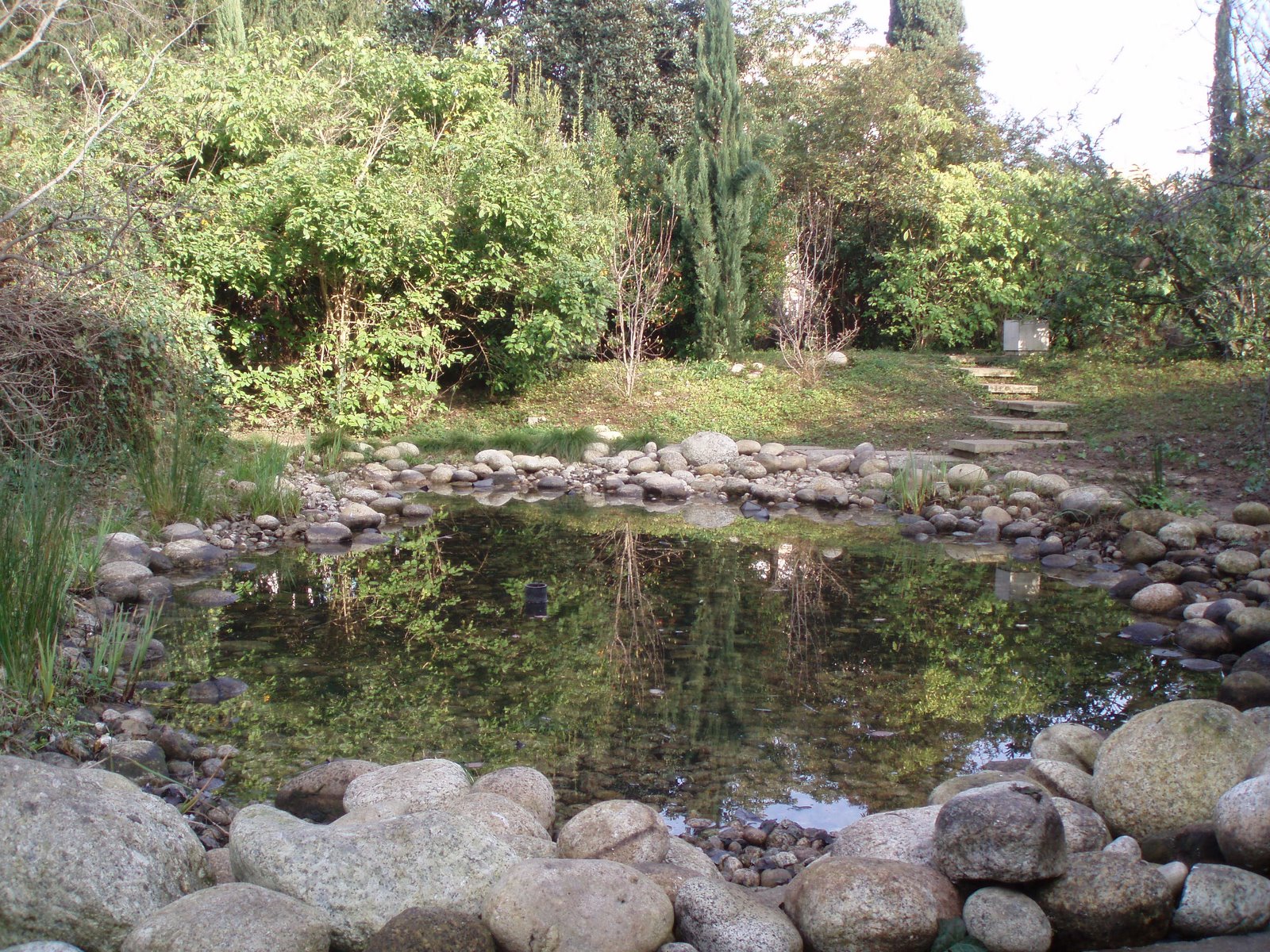 [P1010007.JPG]