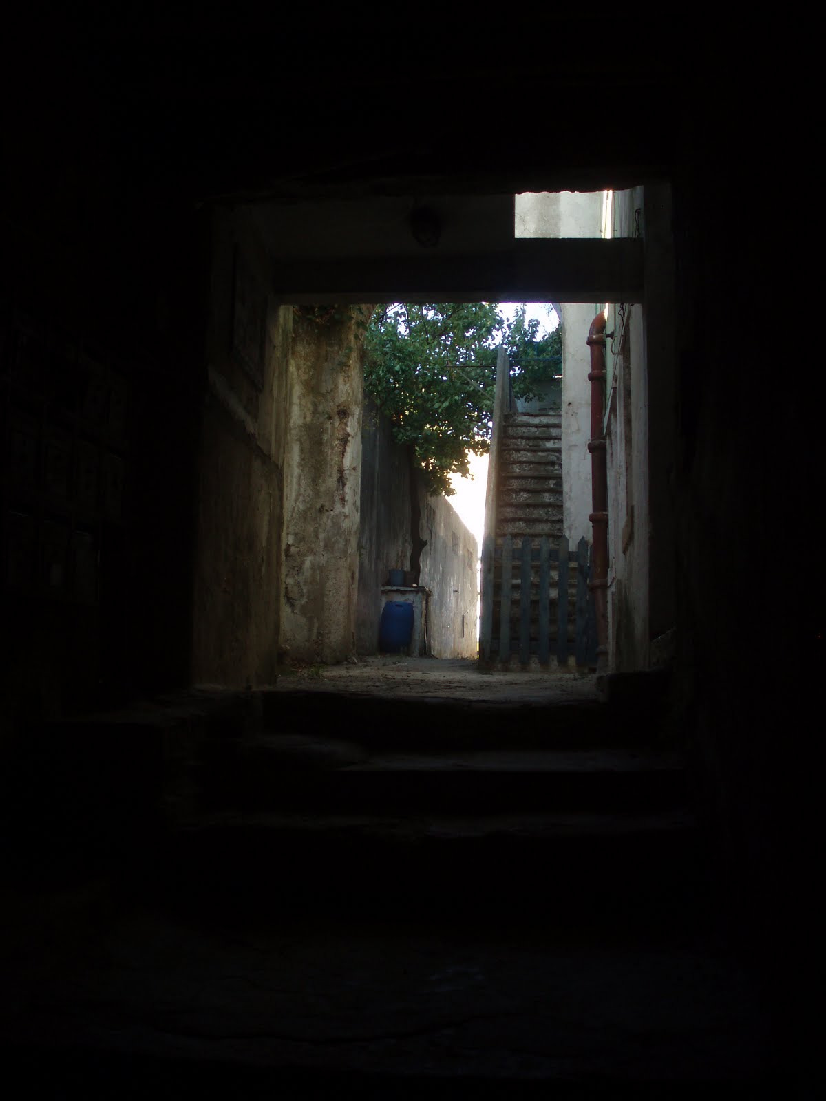 [P1010042.JPG]