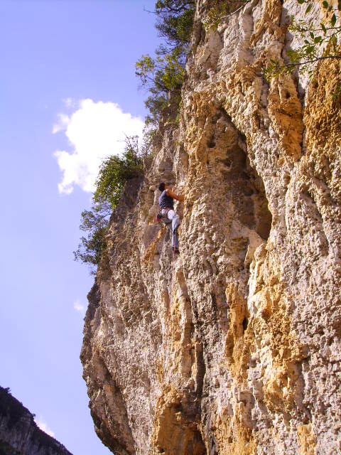 [PICT0778.JPG]