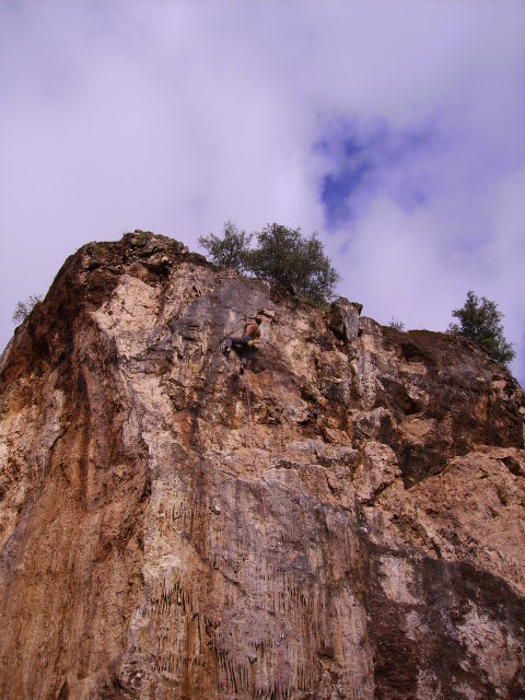 [PICT0845.JPG]
