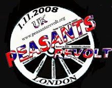 Peasants Revolt 2008