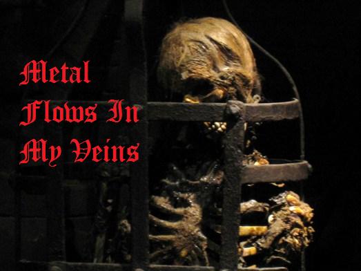 Metal Flows In My Veins