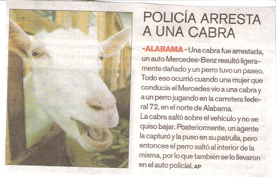 [Arrested+Goat.jpg]