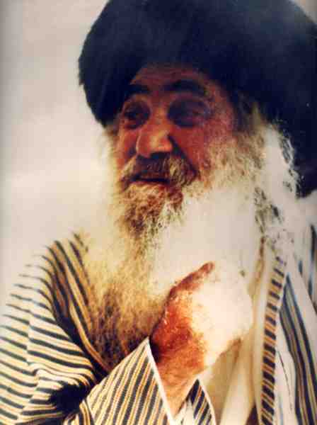 ספר חיי סבא ישראל - להורדה