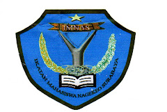 Logo IMNAS