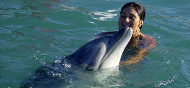 [moko+the+dolphin.jpg]
