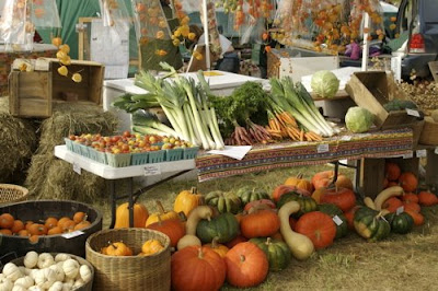 organic food pros and cons essay organic food pros and cons essay