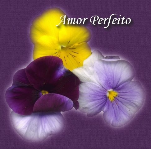 [AmorPerfeito.jpg]