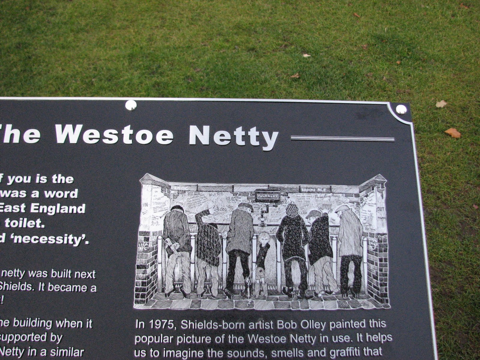 The Westoe Netty