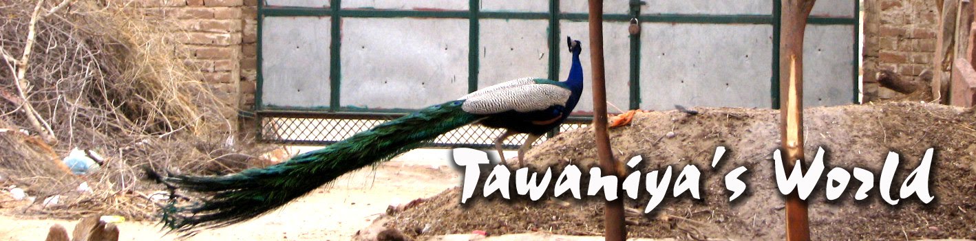 Tawaniya