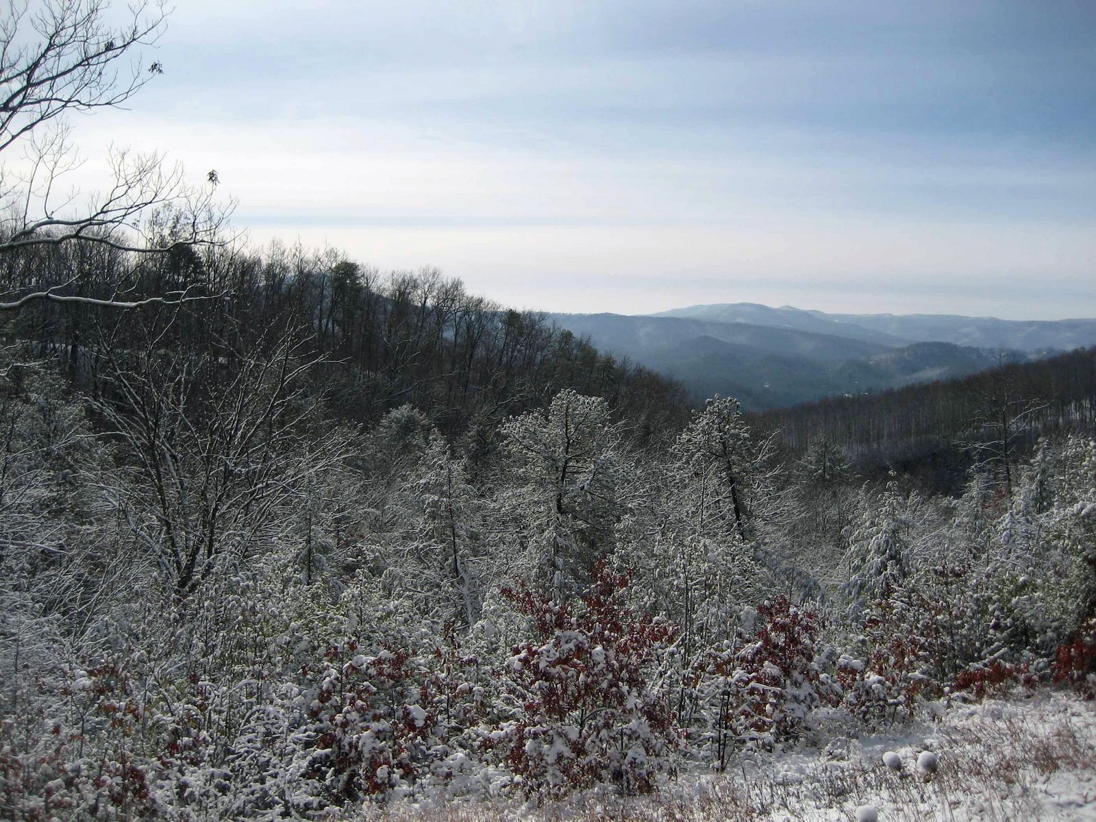 [Pine+Mountain+December+2008+0310031+enhanced.jpg]