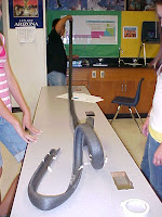 The Eighth Grade Science Teacher: June 2010