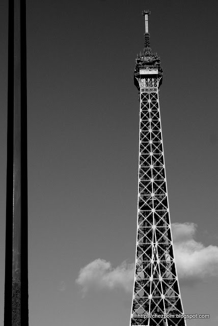 [_MG_4362.JPG]