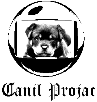 Canil Projac