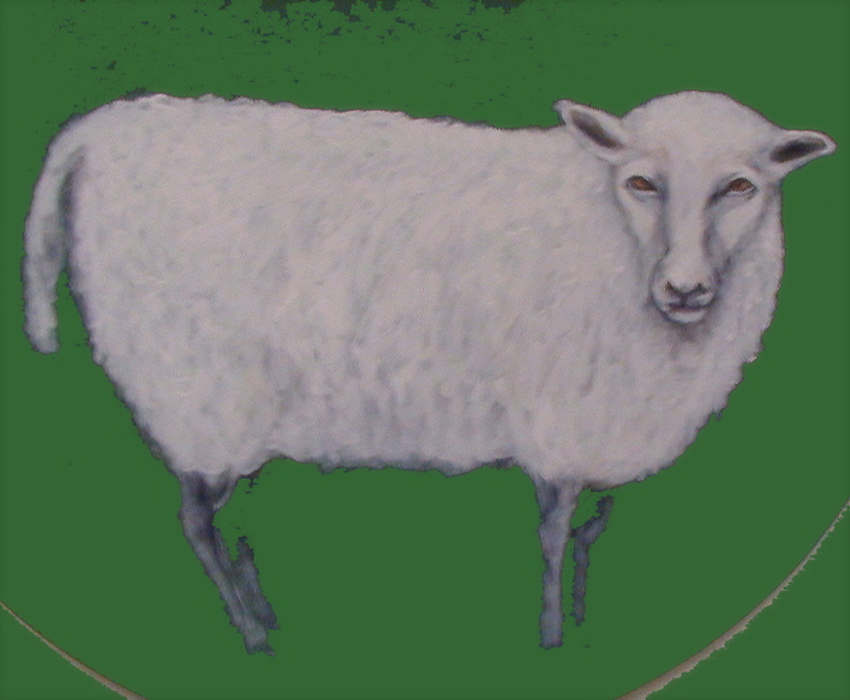 [dreaming+of+a+sheep]