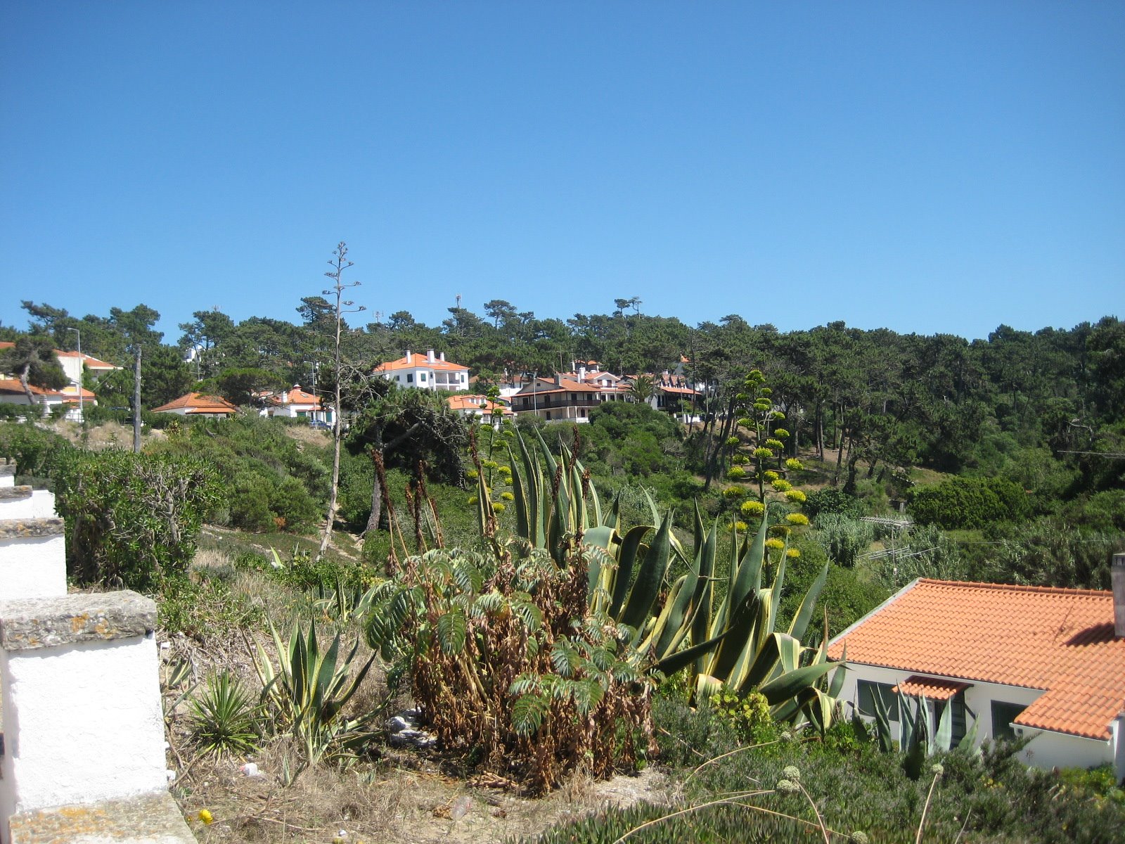 [IMG_1186.JPG]