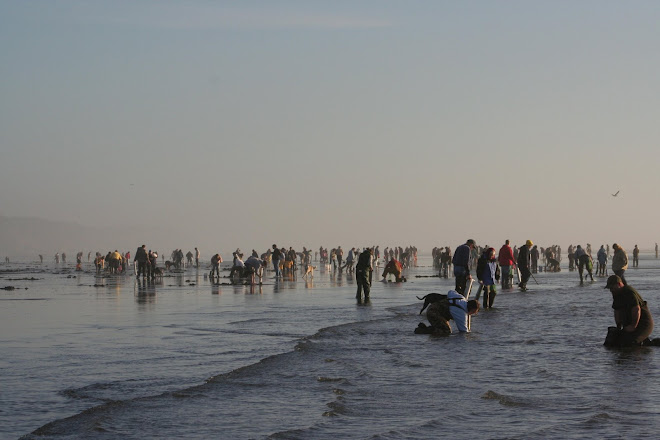 Razor Clamming Feb 2009