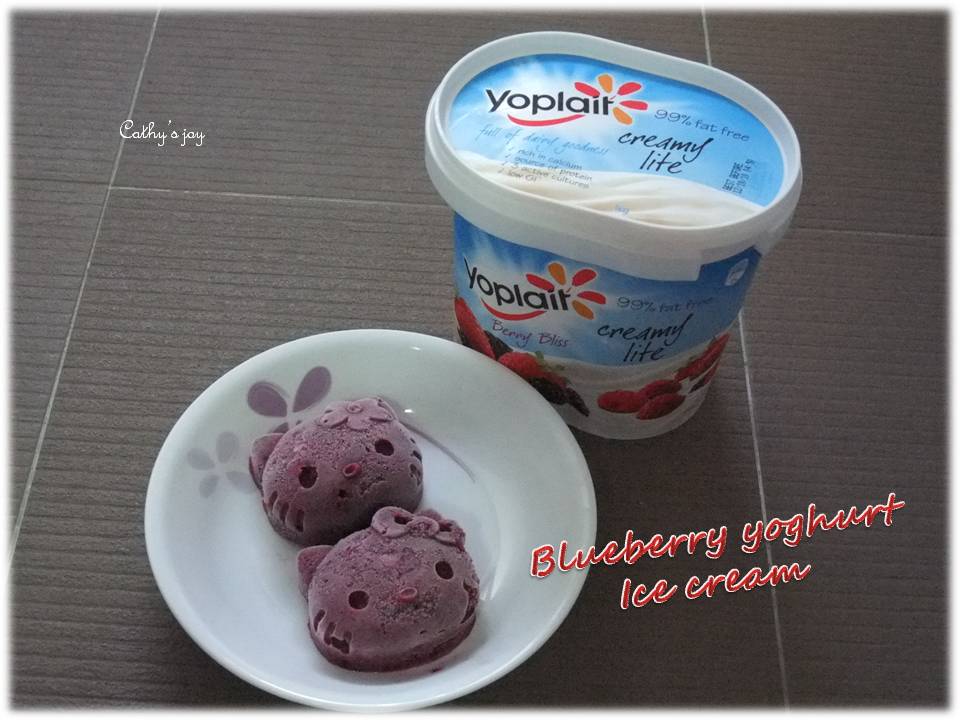 cathy's joy Blueberry yoghurt ice cream
