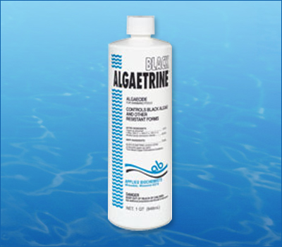 jpeg black algae http www home dzine co za garden garden pool tips htm jpeg black algae http www home dzine co za garden garden pool tips htm