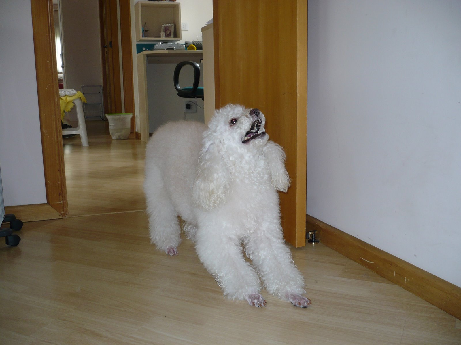[P1010231.JPG]
