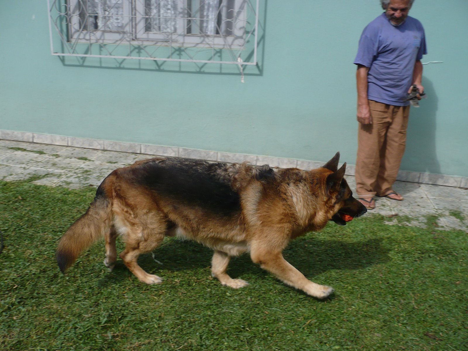[P1010552.JPG]