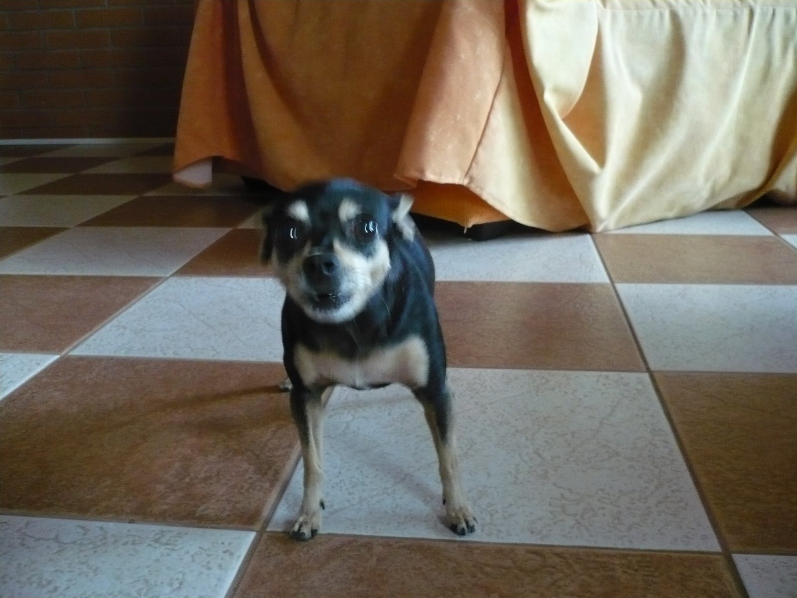 [P1030004.JPG]