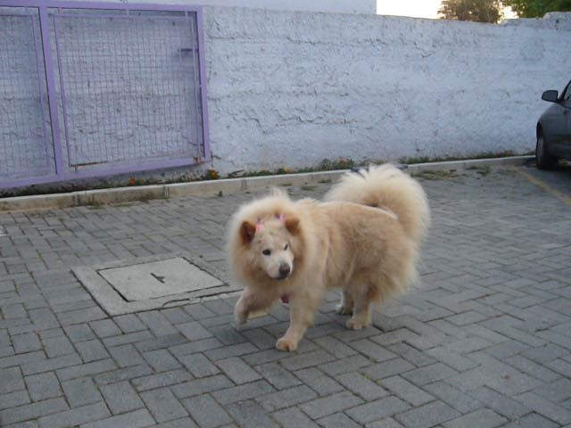 [P1030701.JPG]