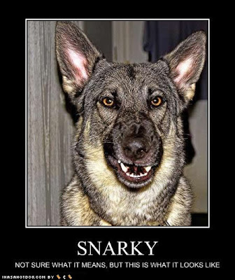 funny-dog-pictures-snarky-looks.jpg