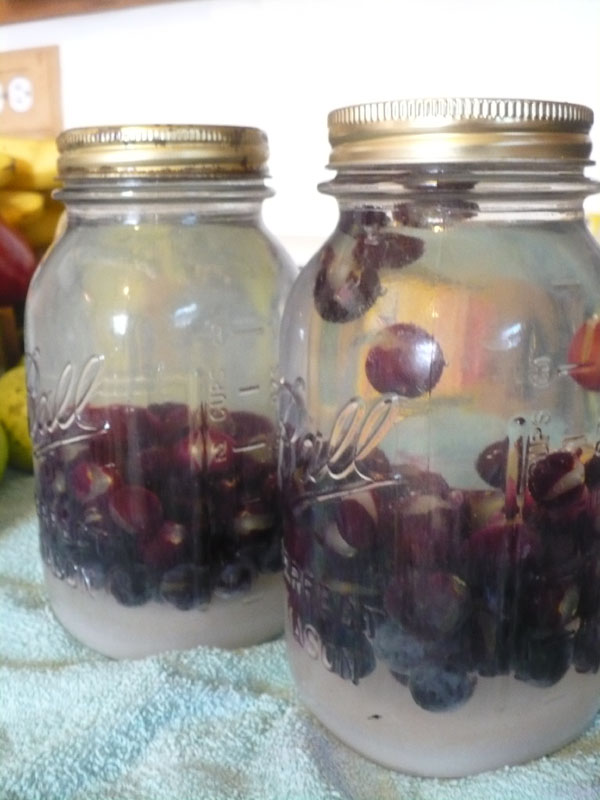 The Enchanted Tree Canning Grape Juice and Jelly.