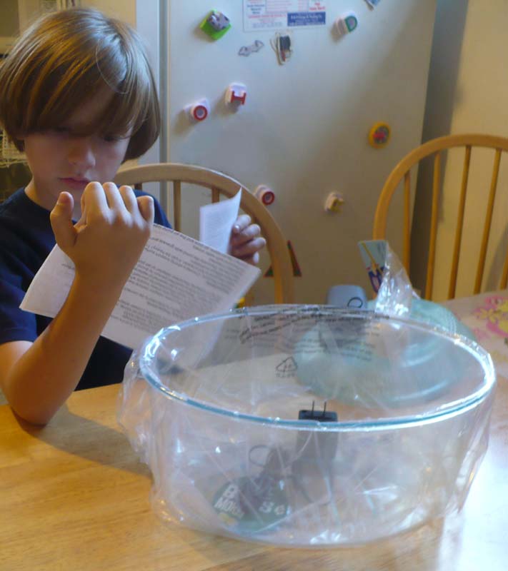 The Enchanted Tree November 2010