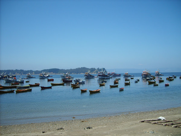 botes en Caleta Tumbes