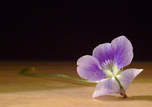 Violets on a Table