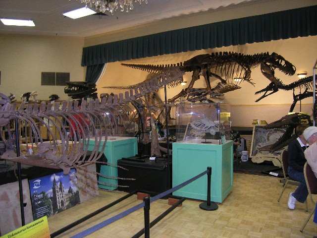 [dinosaur+skeletons.JPG]