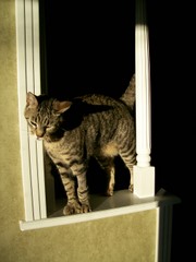 Our boyfrendz & gurlfrendz