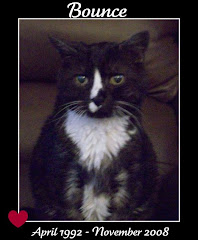 We will always remember